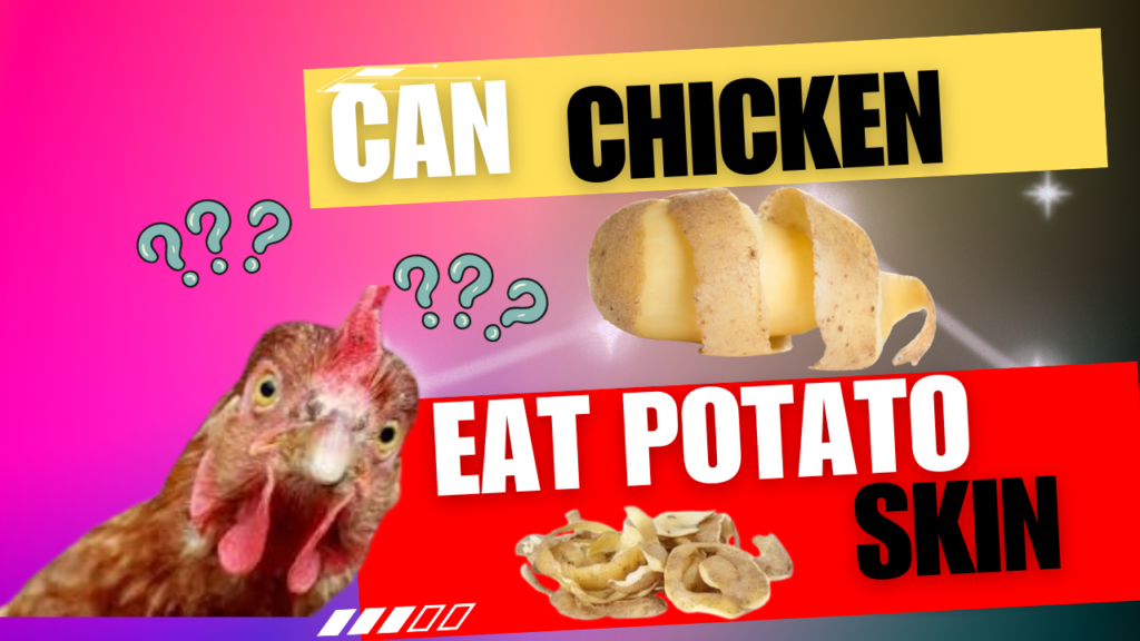 Can Chicken Eat Potato Skin ?