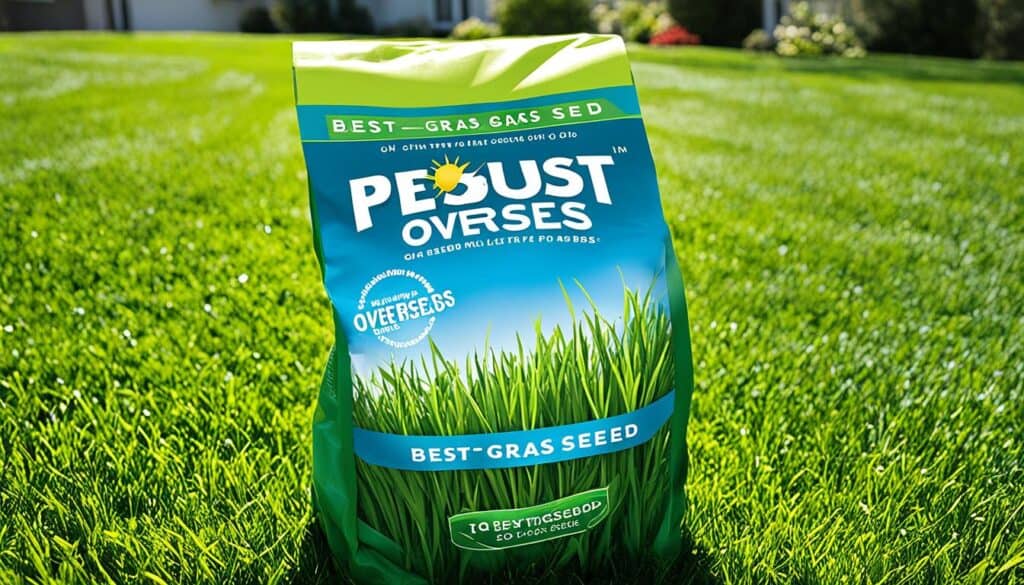 best grass seed for overseeding in ohio